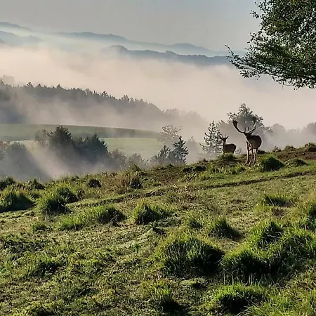 Apartament Hisa Galeria Loče pri Poljčanah