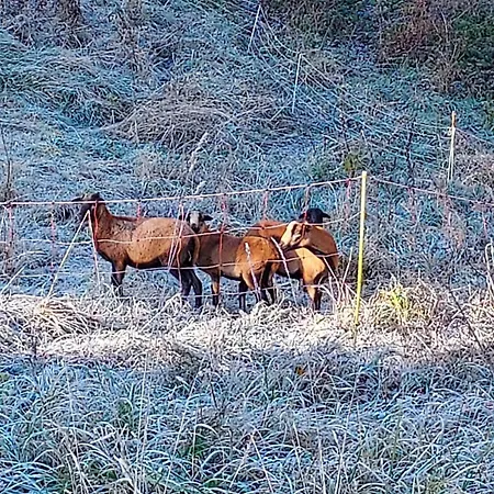 Apartamento Hisa Galeria Loče pri Poljčanah