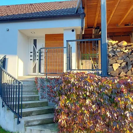 Hisa Galeria Apartment