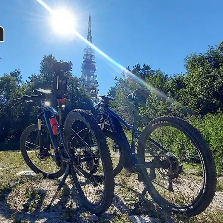 Hisa Galeria * Loče pri Poljčanah