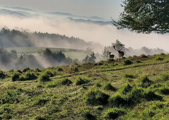 Διαμέρισμα Hisa Galeria Loče pri Poljčanah