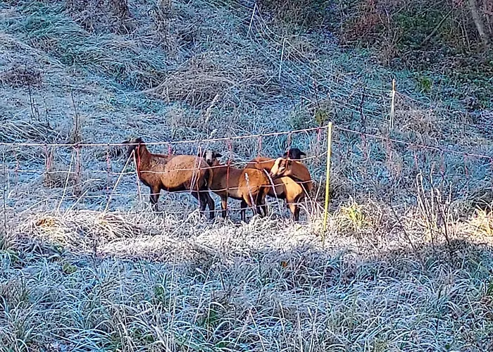 Διαμέρισμα Hisa Galeria Loče pri Poljčanah